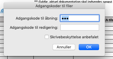 adgangskodebeskyt-ark-2