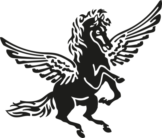 26 Pegasus